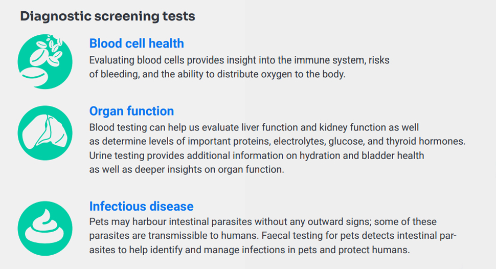 A graphic titled "Diagnostic screening tests" features icons and brief descriptions for Blood cell health, Organ function, and Infectious disease screenings for pets, highlighting what they evaluate—ideal info from an affordable vet clinic.