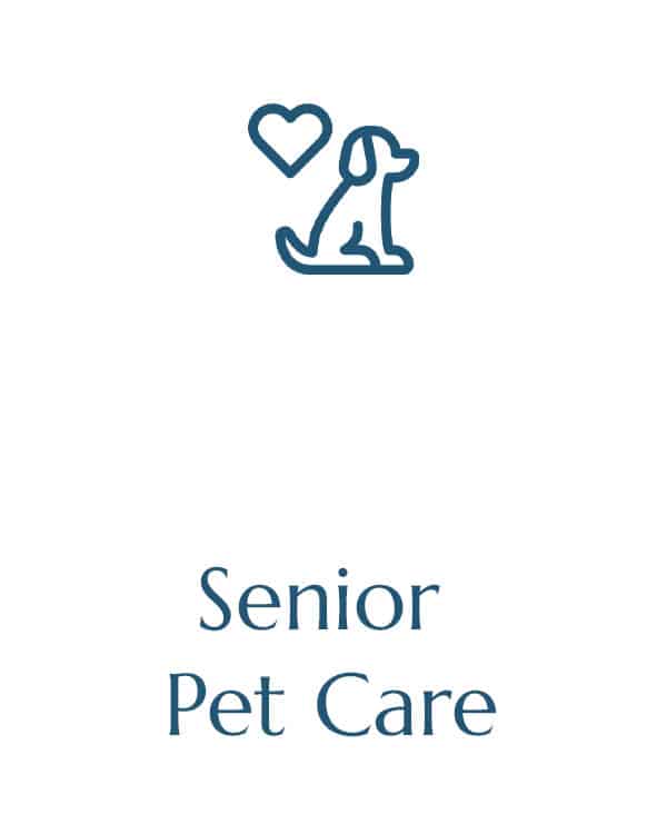 A minimalist graphic of a dog sitting with a heart symbol above it. Below the graphic, text reads “Senior Pet Care”. The design, perfect for any veterinarian's office, is in blue against a white background.