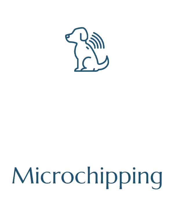 pet hospital vet clinic veterinarian near me veterinary vet near me animal hospital