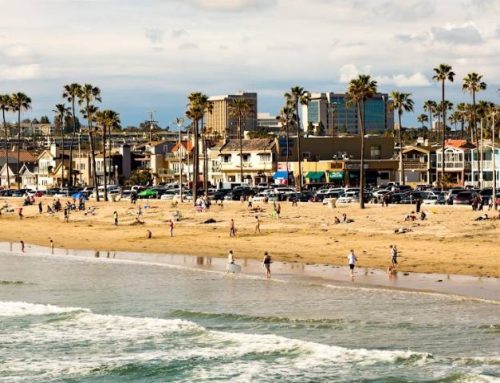 Newport Beach Dog-Friendly Beaches