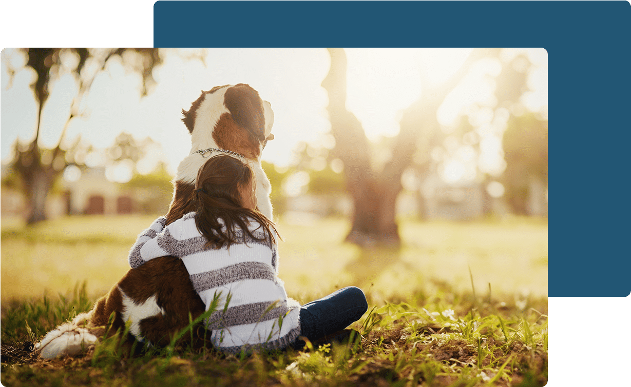 Pet euthanasia near Irvine, CA dog euthanasia cat end of life pet cremation services Bliss animal hospital
