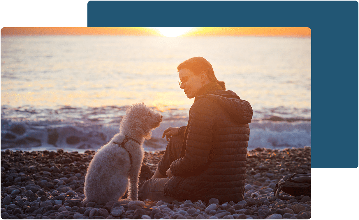 Pet euthanasia near Mission Viejo, CA dog euthanasia cat end of life pet cremation services Bliss animal hospital