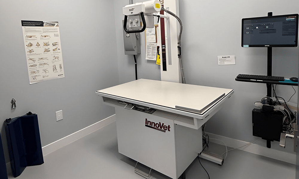 The image shows a veterinary X-ray room with an InnoVet X-ray machine, an adjustable table, a wall-mounted control panel, and a computer station. Charts with anatomical illustrations are visible on the wall. The room has light gray walls and flooring.
