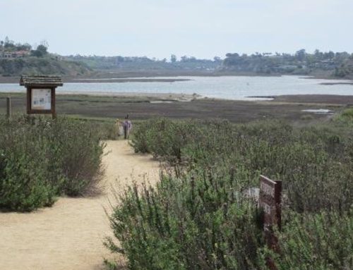 Upper Newport Bay, Newport Beach