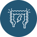 A white outline of a human colon on a blue background with a lightning bolt icon in the center, indicating discomfort or pain in the digestive tract—reminiscent of illustrations often seen at a veterinarian's office.