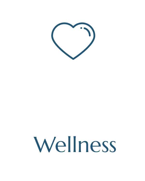 A minimalist graphic featuring an outline of a heart above the word "Wellness" written in a sleek, blue font on a white background, perfectly embodying the care your veterinarian offers.