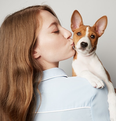 pet wellness clinic pet preventive care for pets dog wellness exam cat preventive care
