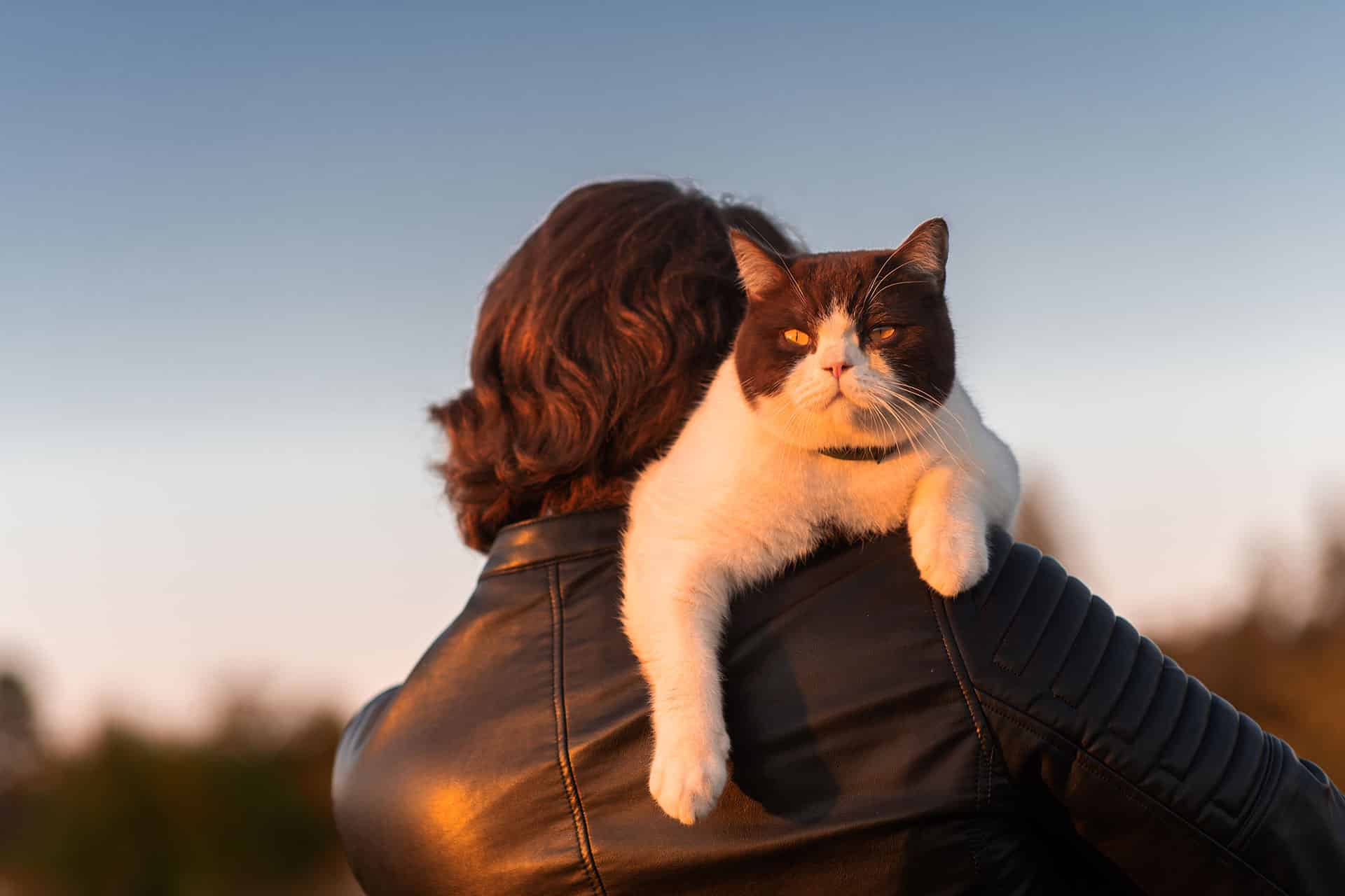 A person with brown hair, wearing a black leather jacket, stands outdoors with a black and white cat resting on their shoulder during sunset. The cat looks content and relaxed.
