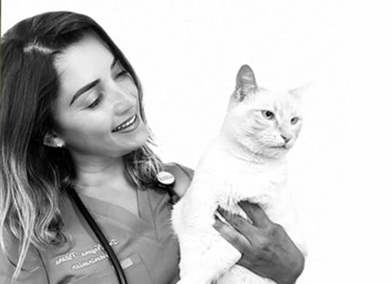 Cat Veterinarian in Lake forest CA cat vet clinic feline veterinarian hospital cat friendly vet clinic