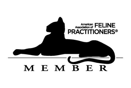 Cat Veterinarian in Lake forest CA cat vet clinic feline veterinarian hospital cat friendly vet clinic AAFP American association of feline practitioners