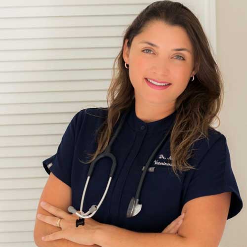 dr nayara pataro vet dr nayara veterinarian bliss animal hospital vet near me