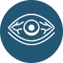A white eye icon with a detailed iris and pupil, outlined in white against a blue background. The eye, symbolizing vigilant care akin to that of a veterinarian, appears open and looking forward.