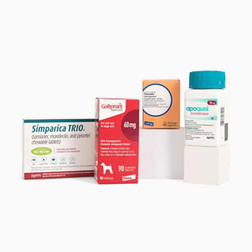 Koala Health Online Pharmacy Bliss Animal Hospital